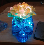 Light up Skull with remote