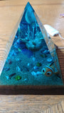 Finding Nemo Pyramid Diarama