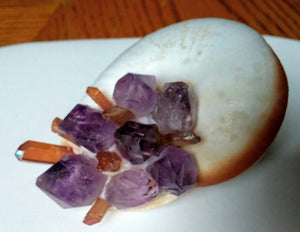 Shells and Shards - Amethyst and Quartz