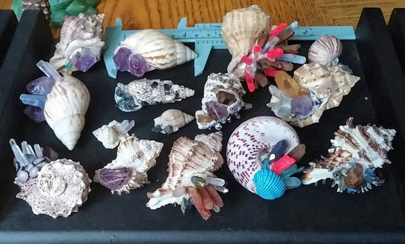 Shells and Shards - pink blue and gold