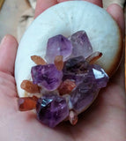 Shells and Shards - Amethyst and Quartz