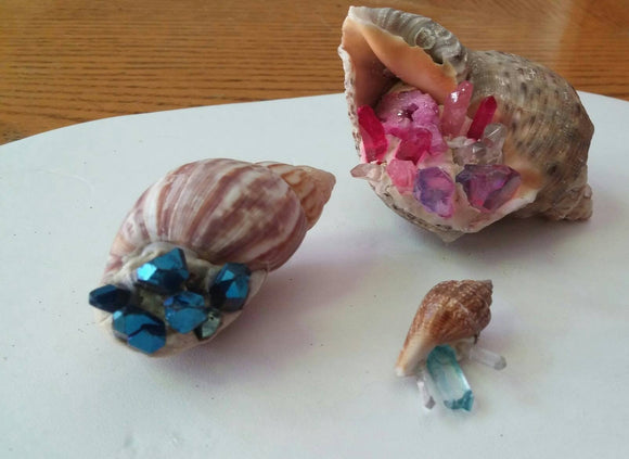 Shells and Shards set