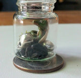 Miniature Dragon in his cache in a bottle
